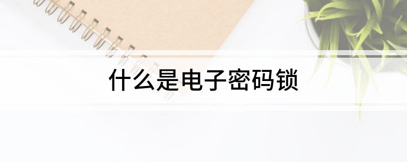 什么是电子密码锁(图1)